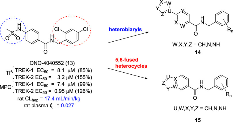 Discovery of ONO-2920632 (VU6011887): A Highly Selective and CNS Penetrant TREK-2 (TWIK-Related K+ Channel 2) Preferring Activator <i>In Vivo</i> Tool Compound.