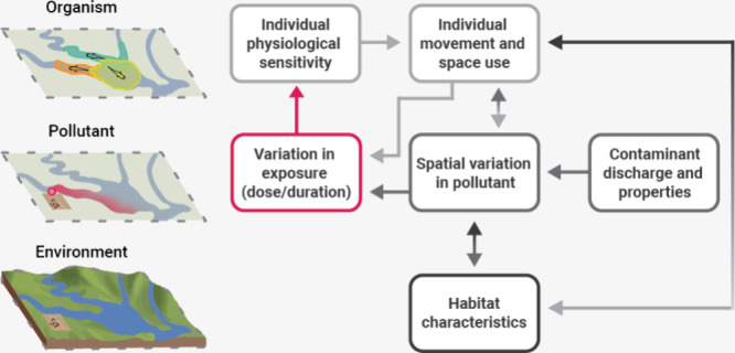 Advancing the Spatiotemporal Dimension of Wildlife-Pollution Interactions.