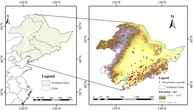 Modeling current and future distributions of invasive Asteraceae species in Northeast China.
