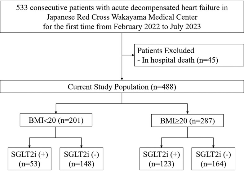 Efficacy and Safety of Sodium-Glucose Cotransporter 2 Inhibitors for Patients With Heart Failure and Low Body Mass Index.