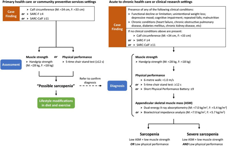 Sarcopenia: how to determine and manage.