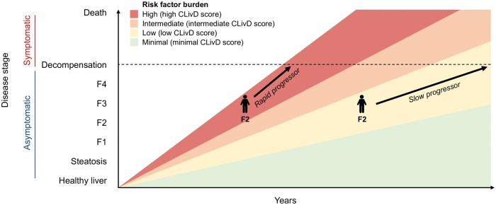 Prediction of major liver-related events in the population using prognostic models.