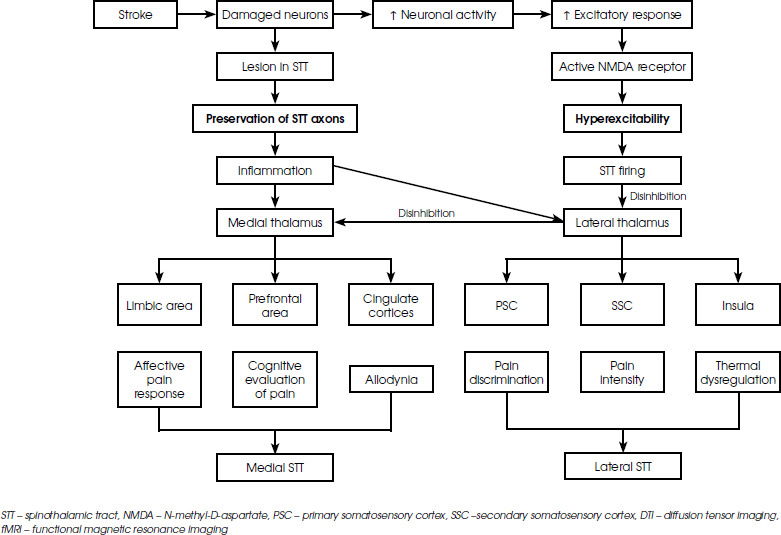 Functional magnetic resonance imaging and diffuse tensor imaging diagnostic values in central post-stroke pain.