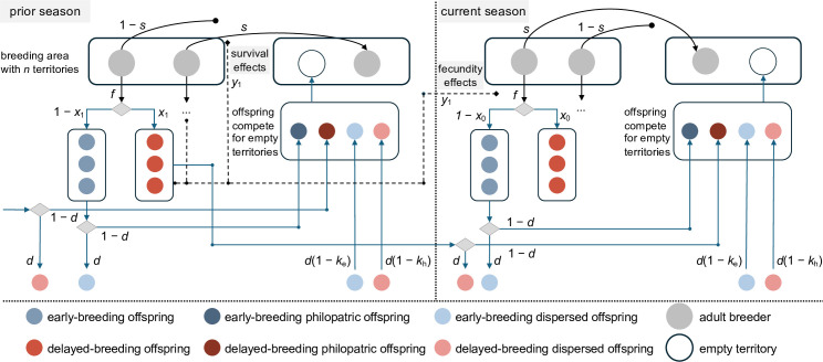 The evolution of cooperative breeding in family groups: when should parents tolerate unhelpful helpers?