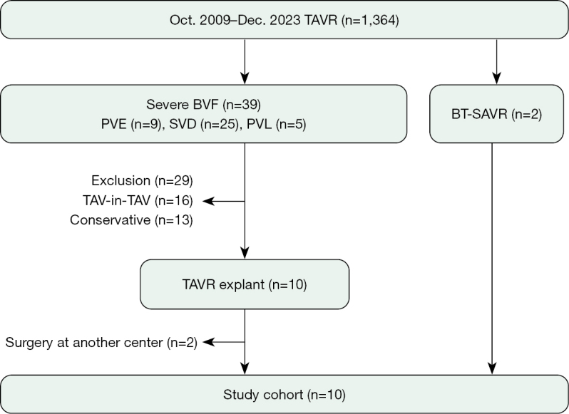 Transcatheter aortic valve replacement explantation experience in Japanese high-volume center.