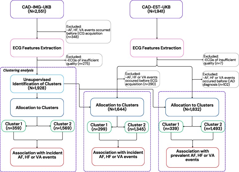 Unsupervised clustering of single-lead electrocardiograms associates with prevalent and incident heart failure in coronary artery disease.