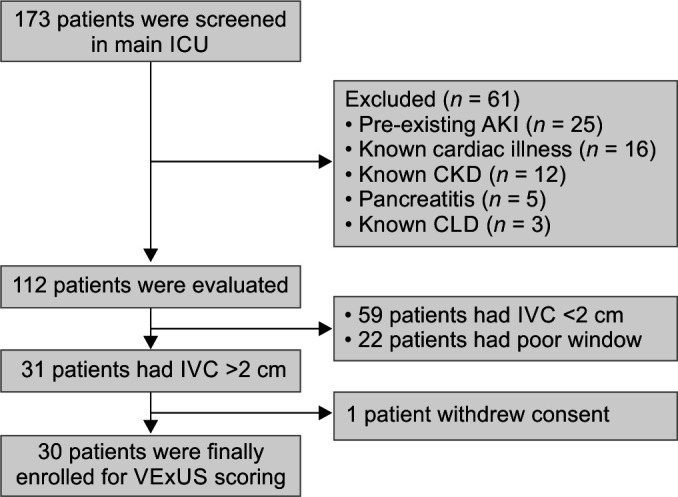 Cracking the Code of AKI: Evaluating the Predictive Power of VExUS Scoring in Critically Ill Noncardiac Patients.