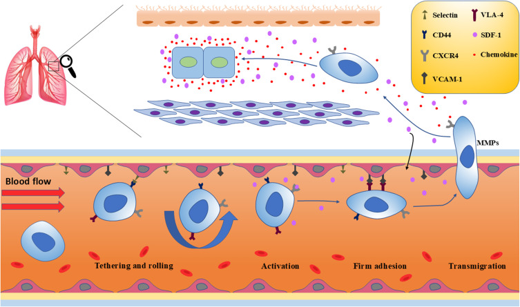 Notch Signaling Pathway Interfering as a Possible Asthma Treatment: A Narrative Review.
