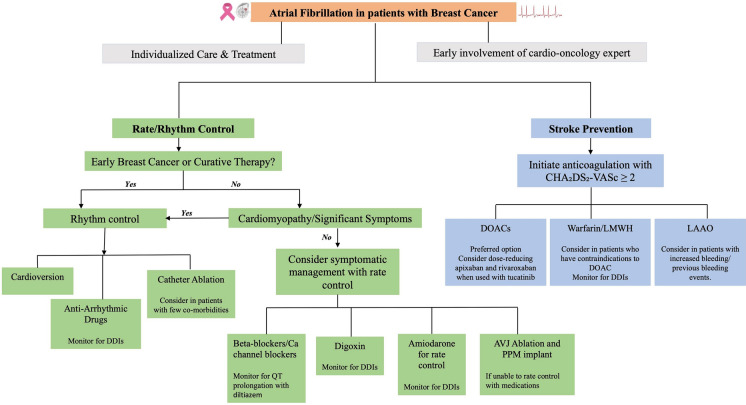 Atrial Fibrillation in Patients with Breast Cancer: A Literature Review.