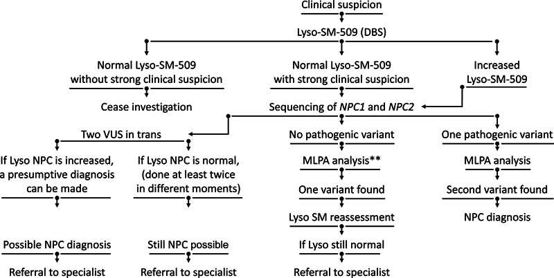 Practical recommendations for diagnosis, management, and follow-up of Niemann-Pick type-C disease patients: a Brazilian perspective.