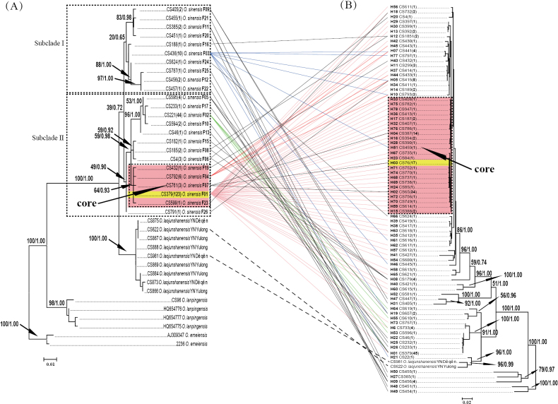 ﻿An attempt of DNA barcodes based geographical origin authentication of the Chinese caterpillar fungus, <i>Ophiocordycepssinensis</i>.