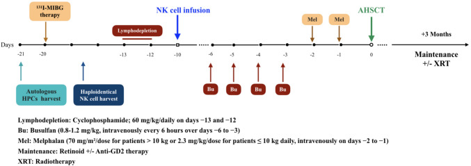 Ex vivo-expanded and activated haploidentical natural killer cells infusion before autologous stem cell transplantation in high-risk neuroblastoma: a phase I/II pilot study.