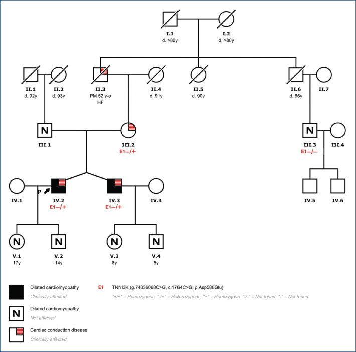 [Dilated cardiomyopathy and conduction disorder due to <i>TNNI3K</i> mutation].