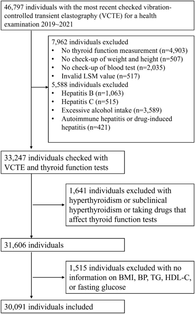Liver fibrotic burden across the spectrum of hypothyroidism.