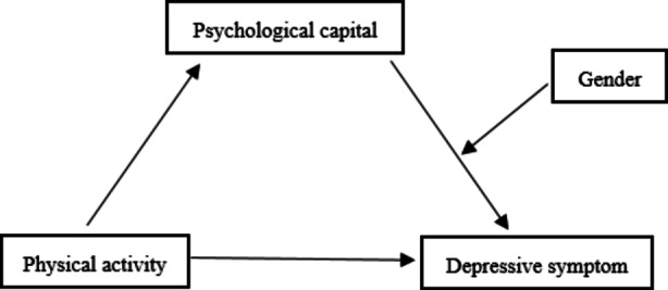 Gender mediates the mediating effect of psychological capital between physical activity and depressive symptoms among adolescents.