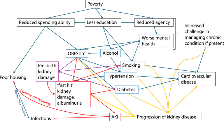 The future of nephrology in 2050.