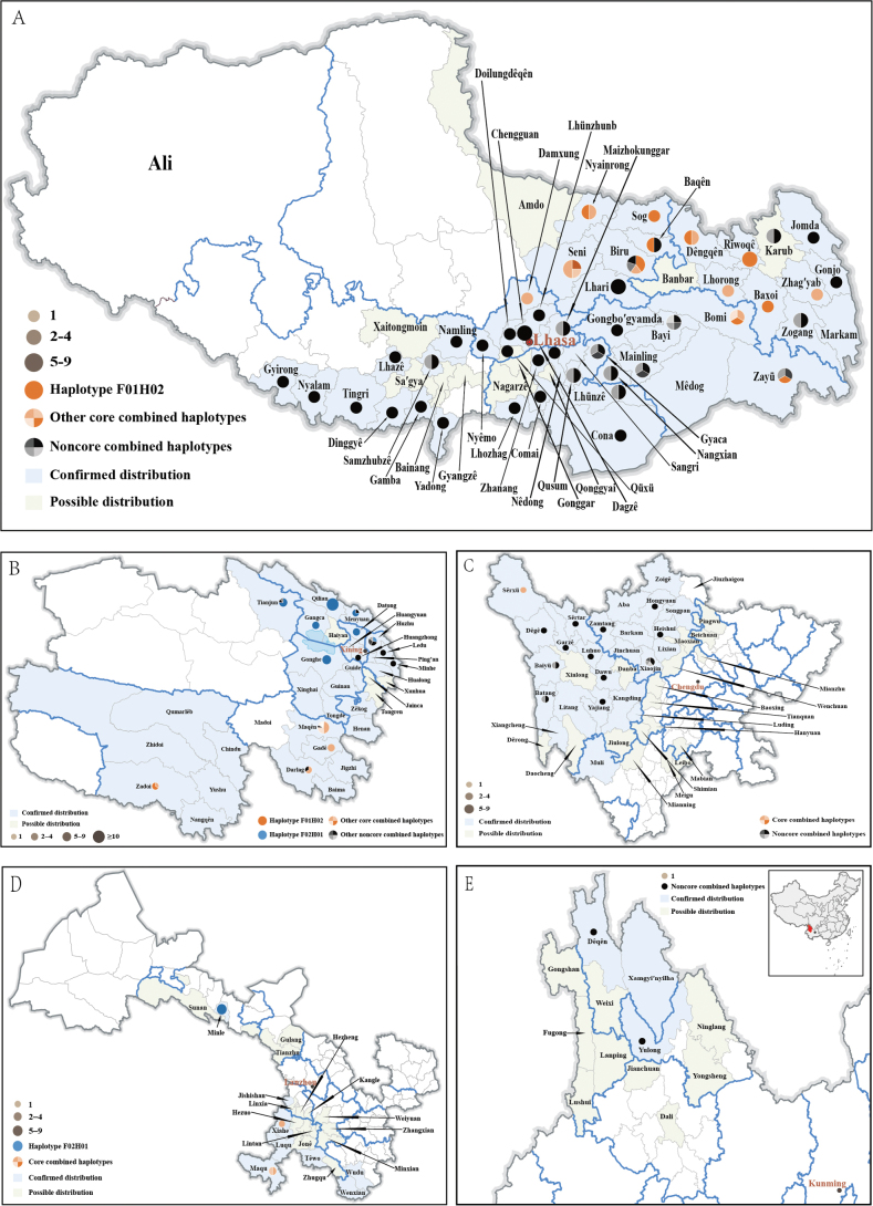 ﻿An attempt of DNA barcodes based geographical origin authentication of the Chinese caterpillar fungus, <i>Ophiocordycepssinensis</i>.