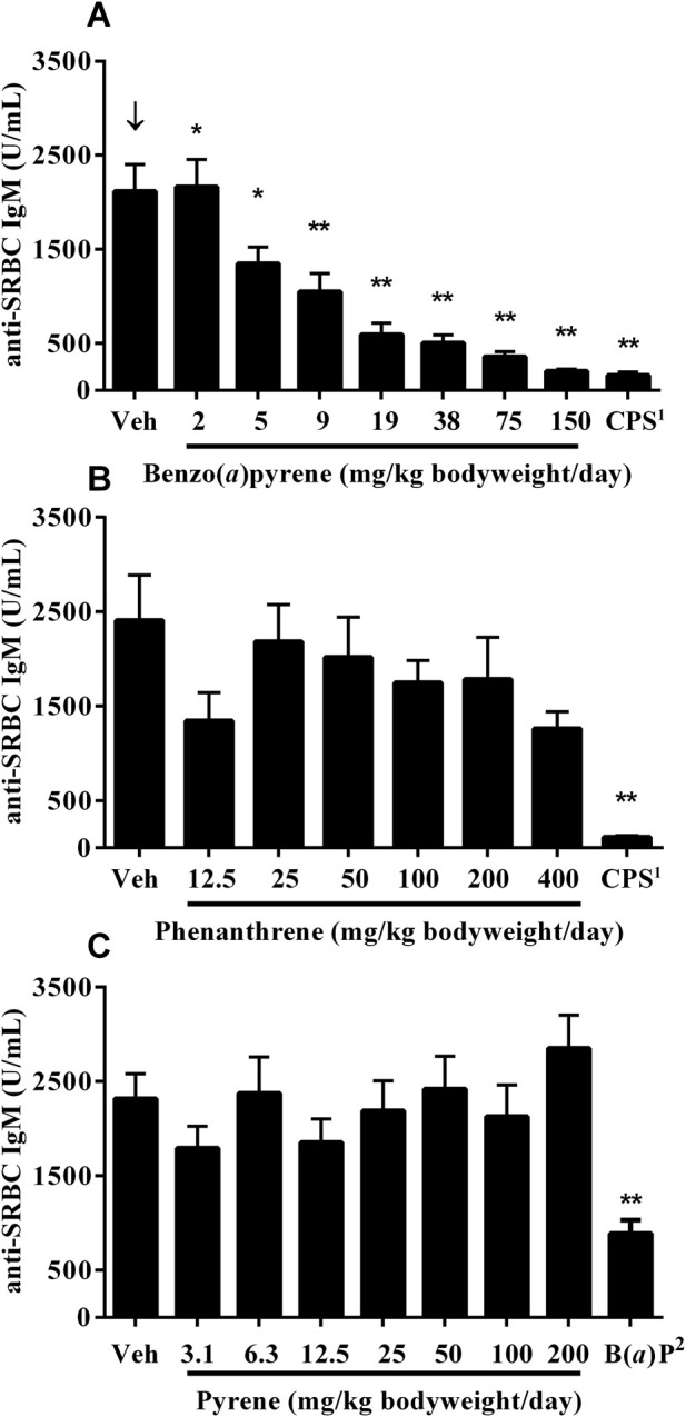 Suppression of the T-dependent antibody response following oral exposure to selected polycyclic aromatic compounds in B6C3F1/N mice.