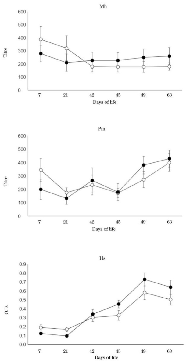 Effect of probiotics on immune cells in young Japanese Black calves responding to vaccination against bacterial respiratory diseases.