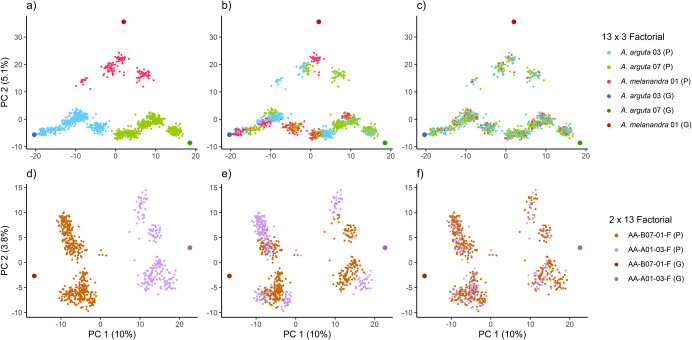 Using genomic selection to correct pedigree errors in kiwiberry breeding.