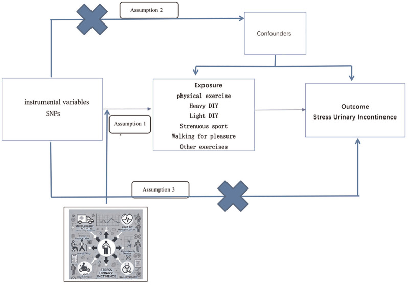 Heavy DIY Activities as a Potential Preventative for Stress Urinary Incontinence.