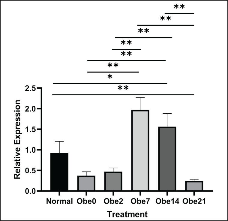 Impact of static magnetic field exposure on <i>Stim1</i> and <i>Itpr3</i> expression in hepatic cells of obese mice.