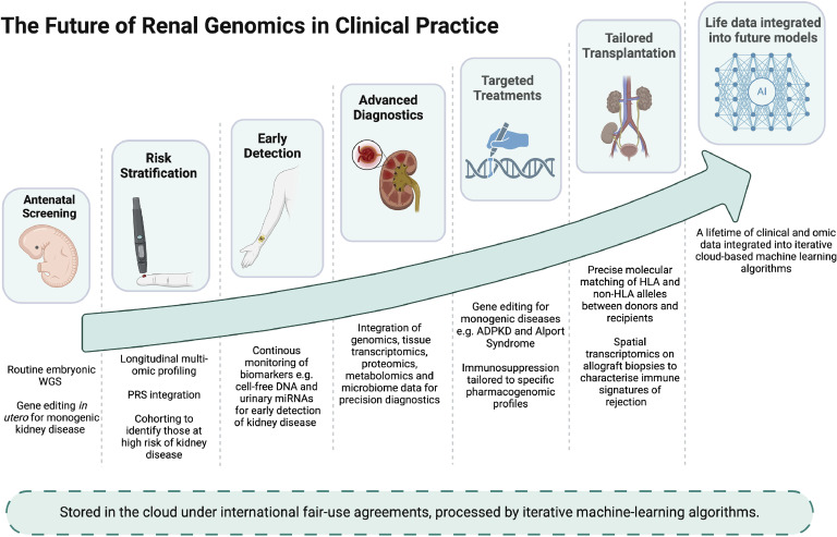 The future of nephrology in 2050.