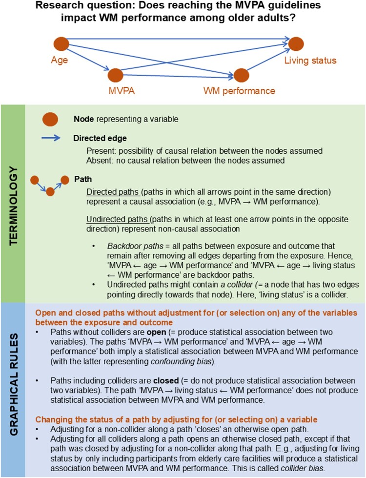 How to develop causal directed acyclic graphs for observational health research: a scoping review.