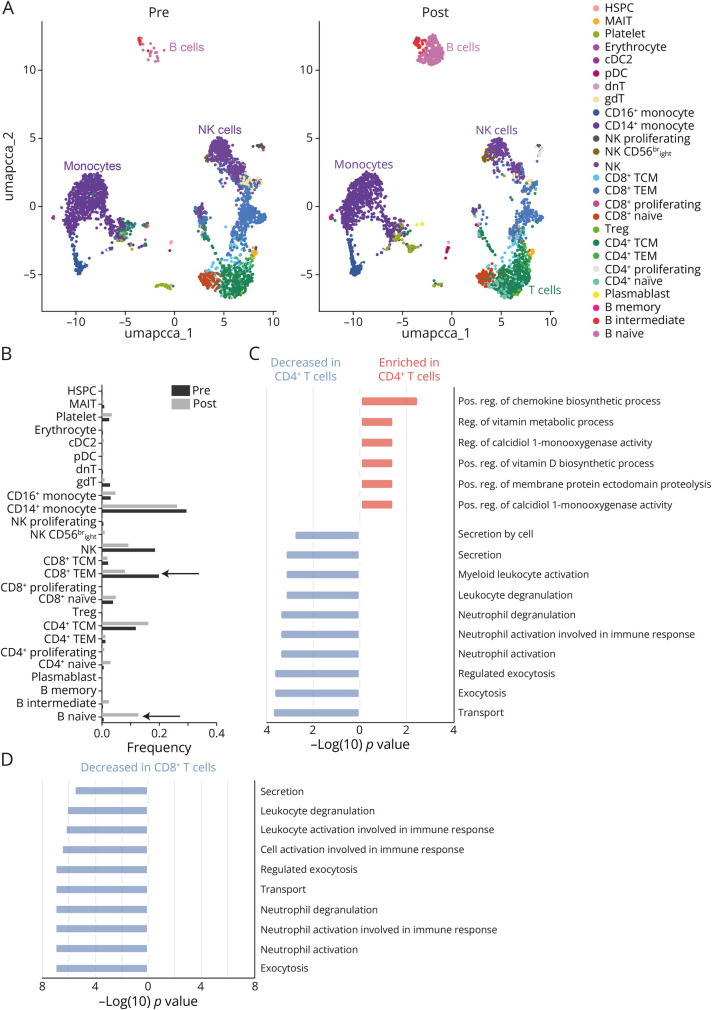 Abatacept Induces Long-Term Reconstitution of the B-Cell Niche in a Patient With CTLA-4 Haploinsufficiency: A Case Report.