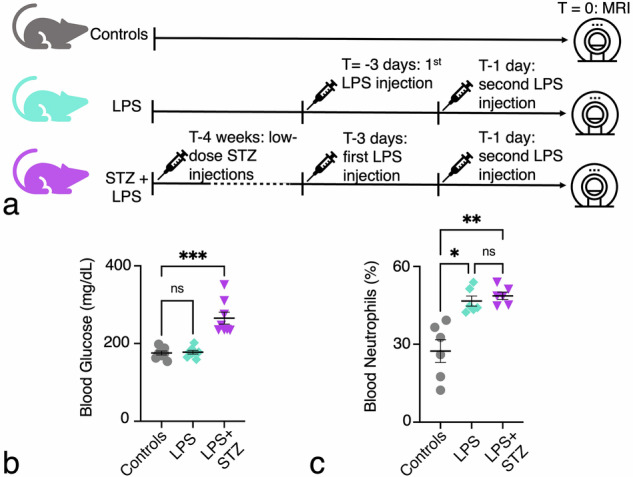 Improved MRI detection of inflammation-induced changes in bone marrow microstructure in mice: a machine learning-enhanced T2 distribution analysis.