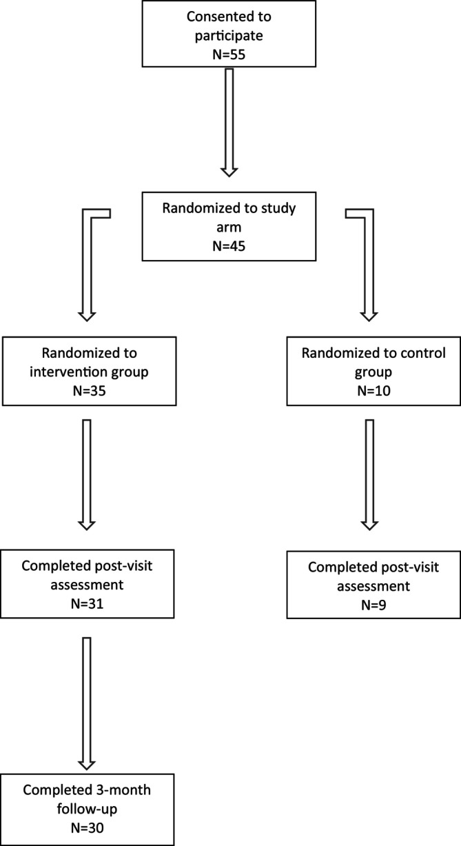 Development and Pilot Testing of a Patient-Centered Reproductive Decision Aid for Pregnancy-Capable People With Rheumatic Diseases.