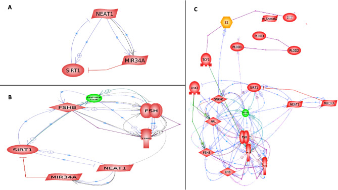 A comparison of the expression patterns and diagnostic capability of the ncRNAs NEAT1 and miR-34a in non-obstructive azoospermia and severe oligospermia.