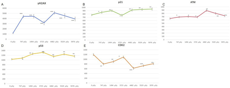 Effects of Low Dose Neutron-Gamma Field on Cell Cycle and Damage of Human Lymphocytes.