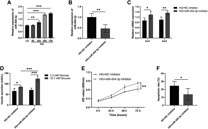 Abnormal expression of miR-454-3p in type 2 diabetes mellitus induces dysfunction of pancreatic β cells by regulating Yy1.