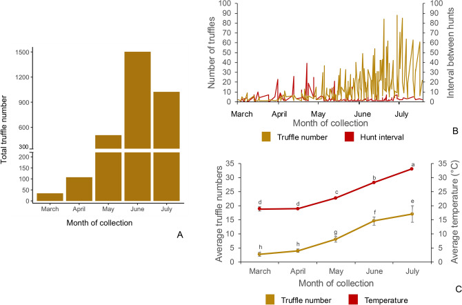 Hunting dog behaviour is a key driver impacting harvest quantity and quality of truffles.
