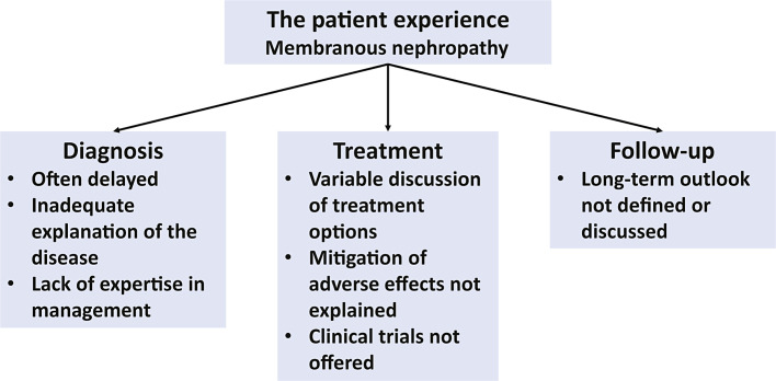 Designing Clinical Trials for the Treatment of Membranous Nephropathy in the Anti-Phospholipase A2 Receptor 1 Era: Results of a NephCure Membranous Nephropathy Workshop.