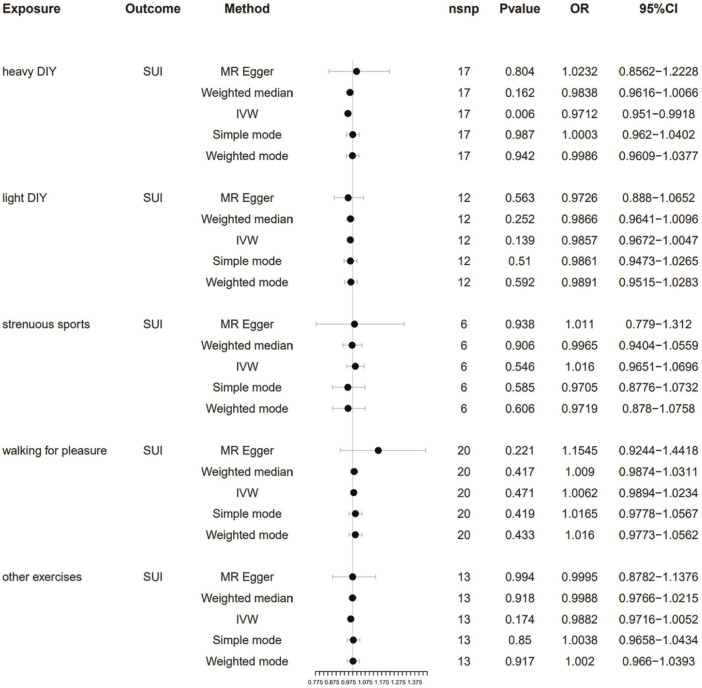 Heavy DIY Activities as a Potential Preventative for Stress Urinary Incontinence.