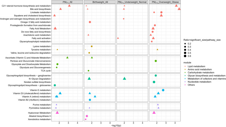Maternal metabolomics linking prenatal exposure to fine particulate matter and birth weight: a cross-sectional analysis of the MADRES cohort.