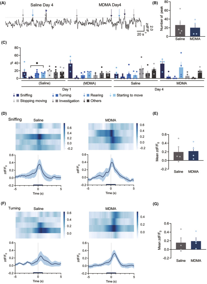Effects of 3,4-methylenedioxymethamphetamine on neural activity in the nucleus accumbens of male mice engaged in social behavior.