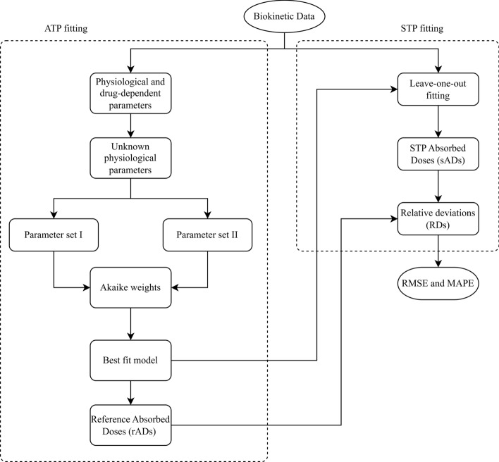 Accuracy and precision analyses of single-time-point dosimetry utilising physiologically-based pharmacokinetic modelling and non-linear mixed-effects modelling.