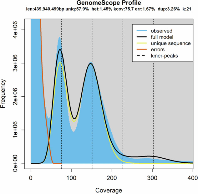 A chromosomal-level genome assembly of Begonia fimbristipula (Begoniaceae).