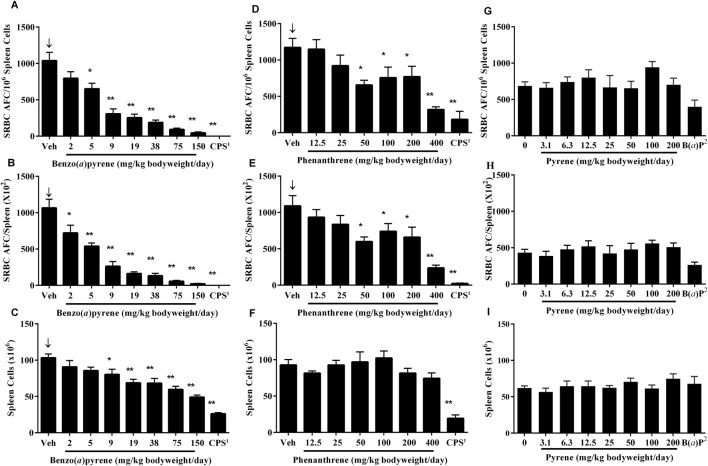 Suppression of the T-dependent antibody response following oral exposure to selected polycyclic aromatic compounds in B6C3F1/N mice.