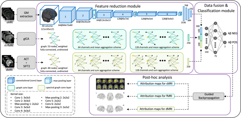 Multimodal MRI accurately identifies amyloid status in unbalanced cohorts in Alzheimer's disease continuum.