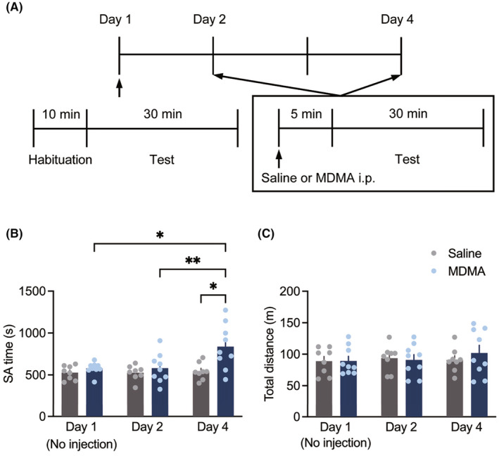 Effects of 3,4-methylenedioxymethamphetamine on neural activity in the nucleus accumbens of male mice engaged in social behavior.
