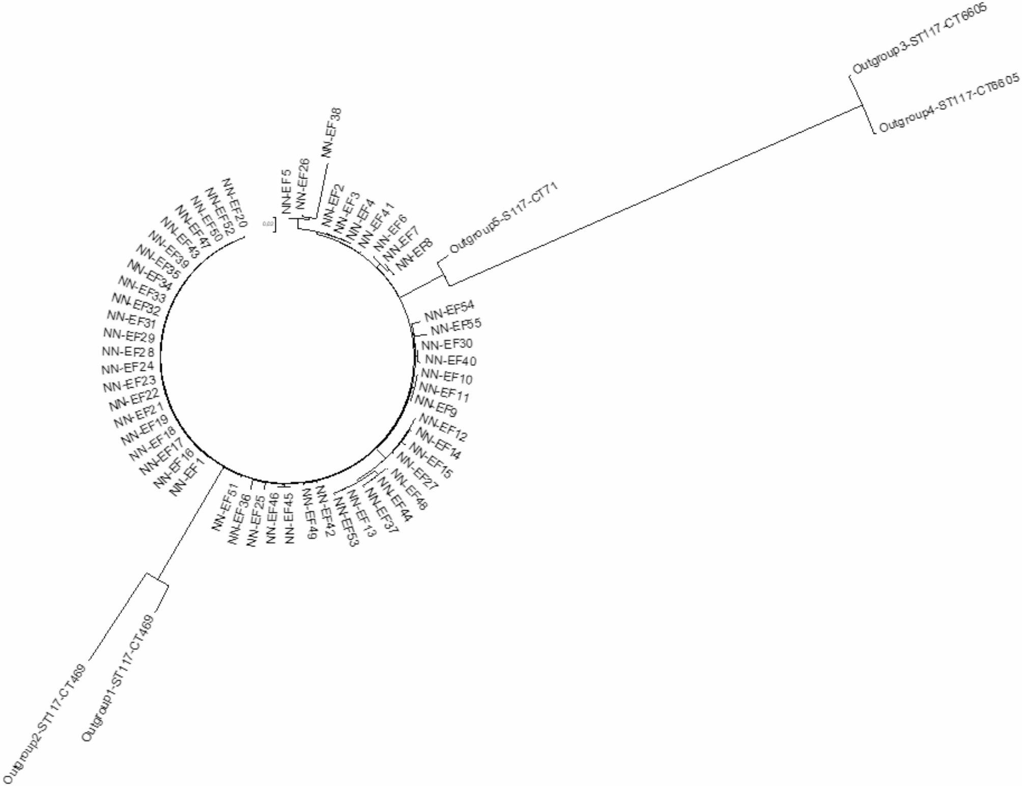 Development of a strain-specific PCR as a diagnostic tool for surveillance, detection, and monitoring of vancomycin-resistant Enterococcus faecium during outbreak.