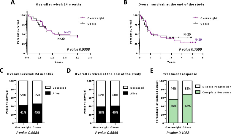 Obesity and overweight in R/R DLBCL patients is associated with a better response to treatment of R2-GDP-GOTEL trial. Potential role of NK CD8 + cells and vitamin D.