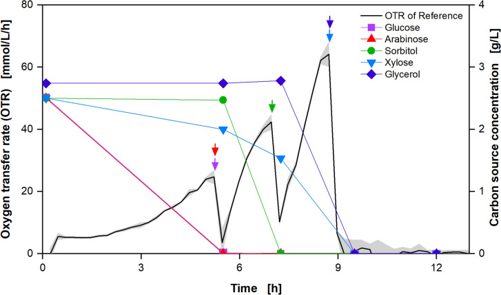 Sampling-free investigation of microbial carbon source preferences on renewable feedstocks via online monitoring of oxygen transfer rate.