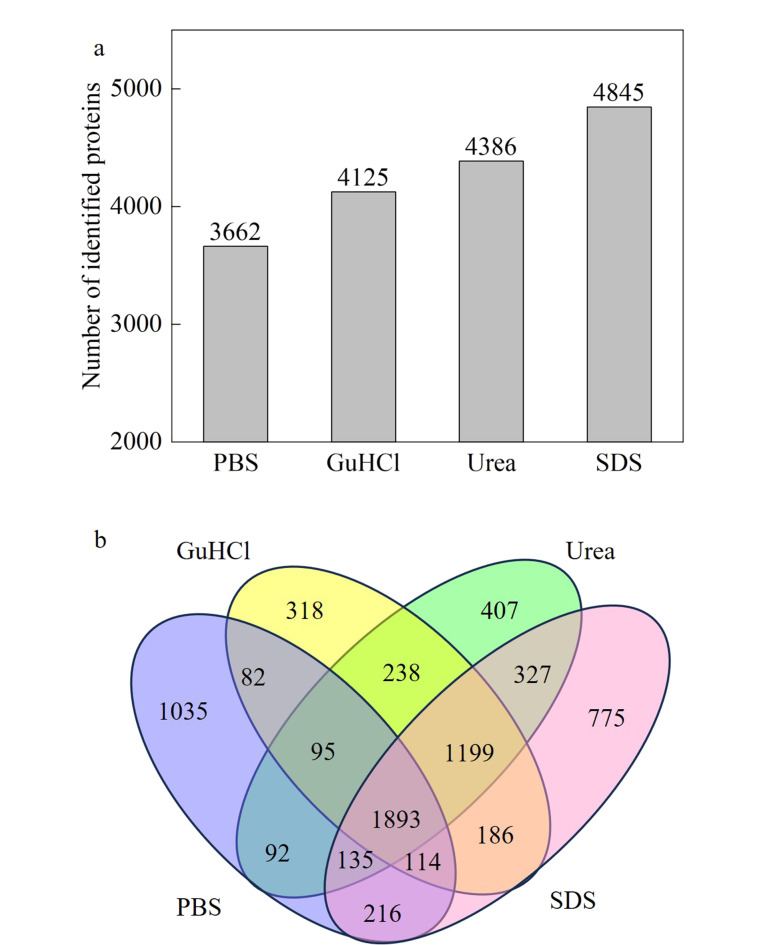 [Open experiment: quantitative proteomics analysis of thyroid-cancer tissue slices using ultra-high performance liquid chromatography-tandem mass spectrometry].
