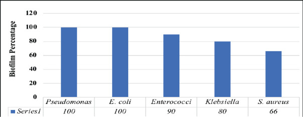 Adhesion Study of <i>Pseudomonas aeruginosa</i> on Different Urinary Catheter Materials.