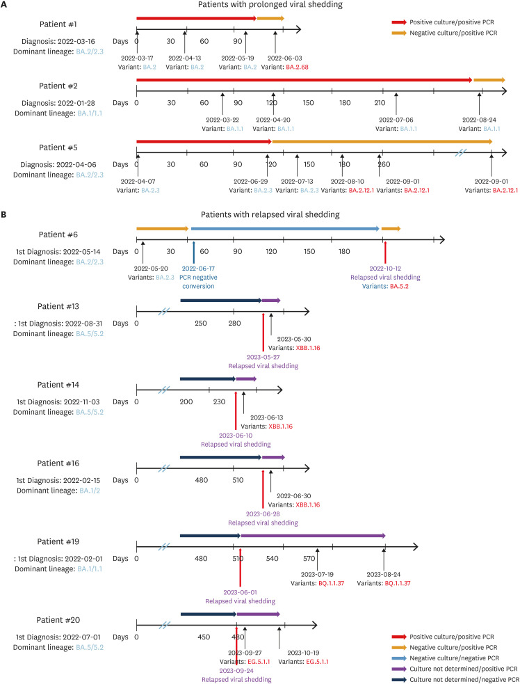 Reinfection of SARS-CoV-2 Variants in Immunocompromised Patients with Prolonged or Relapsed Viral Shedding.